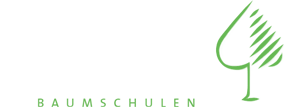 Baumschule Sennekamp in Senden | Partner im Münsterland